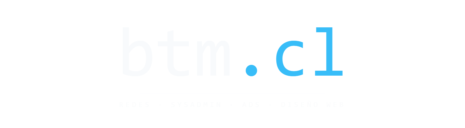 BTM Servicios logo primario